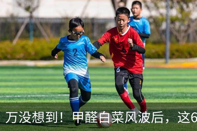 万没想到！甲醛白菜风波后，这6种菜火了，因为无需打药也耐存放