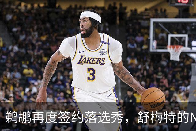 鹈鹕再度签约落选秀，舒梅特的NBA冒险之旅